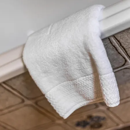 Residenz Alpina Im Kurhaus Lägenhet Lenzerheide